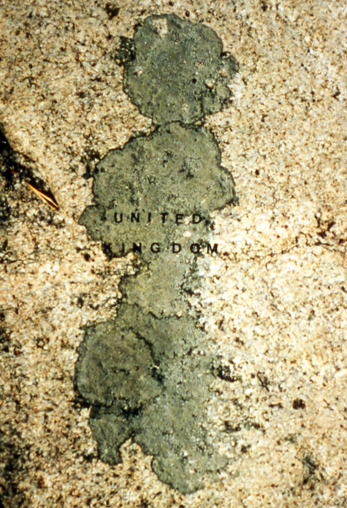 moss map of England