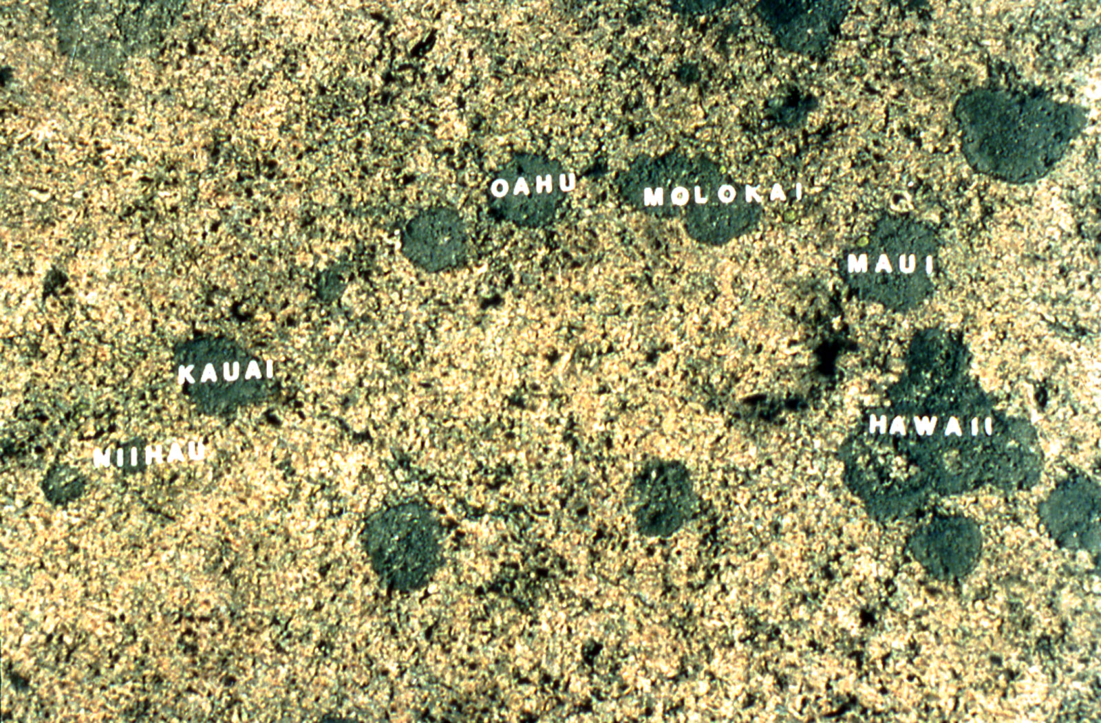 moss map of Hawaii